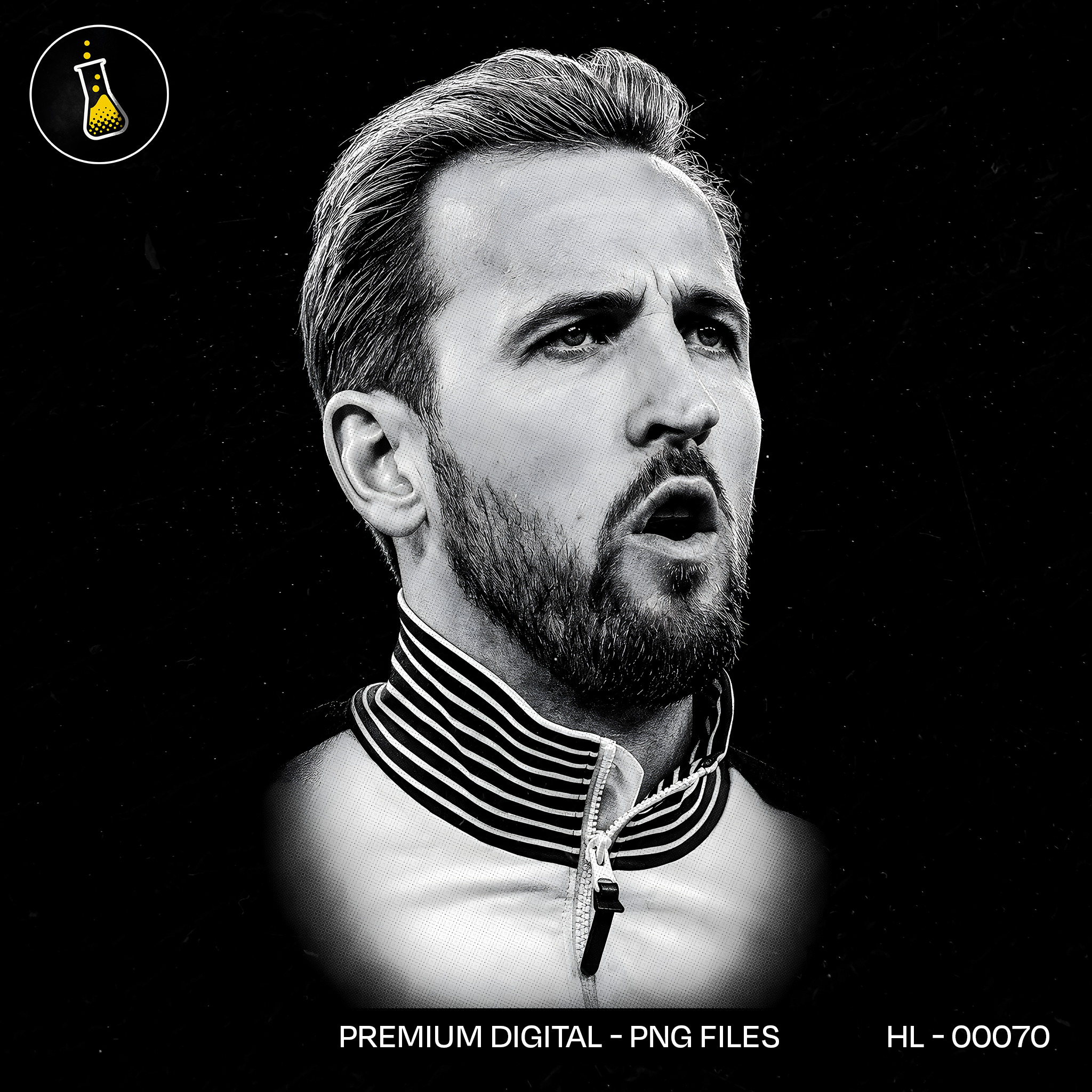 Harry Kane England Print