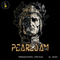 Pearl Jam Grunge Rock Print