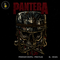 Pantera Skull Groove Metal Print