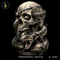 Skull Rattlesnake Barbed Wire Streetwear Print