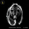 Fierce Grizzly Bear Streetwear Print