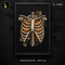 Skeleton Ribcage Pumpkins Anatomy Halloween Print